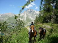 /album/engadin/p1000285-kl-jpg/